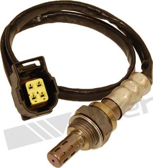 Walker Products 250-24460 - Лямбда-зонд, датчик кисню autozip.com.ua