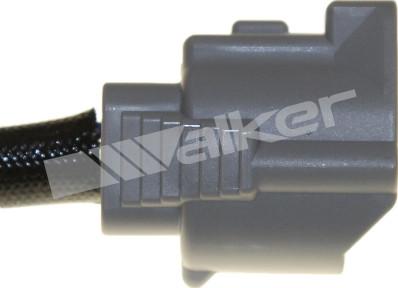 Walker Products 250-241177 - Лямбда-зонд, датчик кисню autozip.com.ua