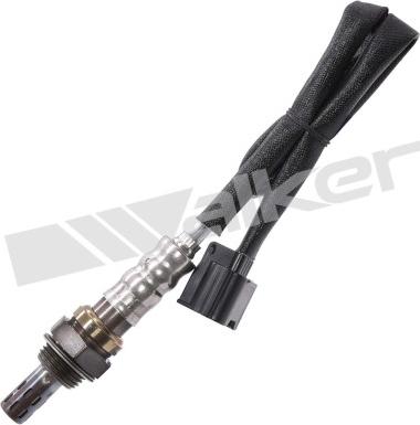 Walker Products 250-241229 - Лямбда-зонд, датчик кисню autozip.com.ua