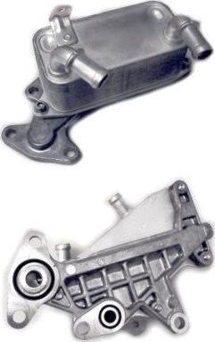 WE PARTS 381590076 - Масляний радіатор, автоматична коробка передач autozip.com.ua