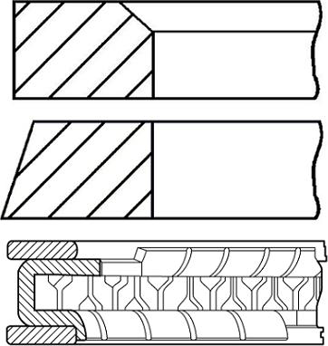 Wilmink Group WG1939031 - Комплект поршневих кілець autozip.com.ua