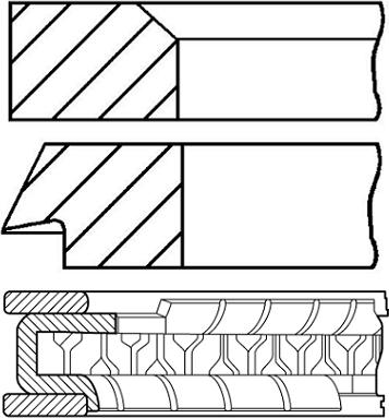 Wilmink Group WG1939028 - Комплект поршневих кілець autozip.com.ua