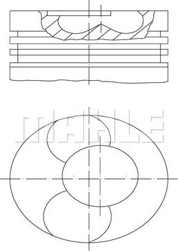 Wilmink Group WG1423647 - Поршень autozip.com.ua