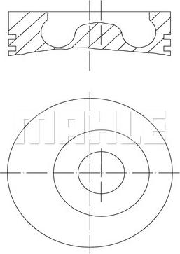 Wilmink Group WG1214202 - Поршень autozip.com.ua