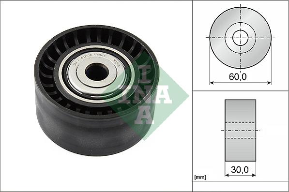 Wilmink Group WG1253047 - Паразитний / провідний ролик, поліклиновий ремінь autozip.com.ua