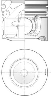 Wilmink Group WG1726303 - Поршень autozip.com.ua