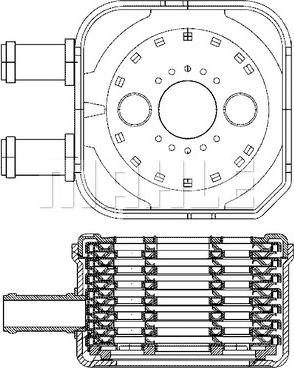 Wilmink Group WG2181211 - Масляний радіатор, рухове масло autozip.com.ua