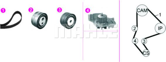 Wilmink Group WG2182140 - Водяний насос + комплект зубчатого ременя autozip.com.ua