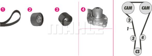 Wilmink Group WG2182106 - Водяний насос + комплект зубчатого ременя autozip.com.ua