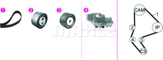 Wilmink Group WG2182132 - Водяний насос + комплект зубчатого ременя autozip.com.ua