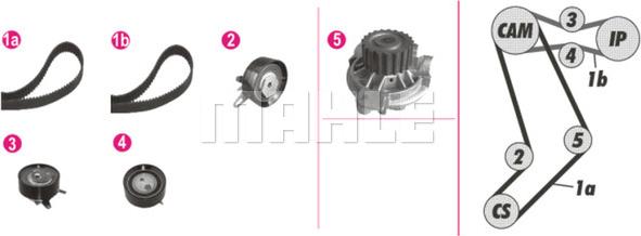 Wilmink Group WG2182176 - Водяний насос + комплект зубчатого ременя autozip.com.ua