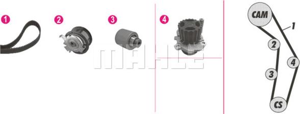 Wilmink Group WG2182216 - Водяний насос + комплект зубчатого ременя autozip.com.ua