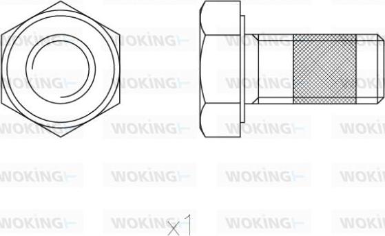 Woking ACA8521.00 - Комплектуючі, колодки дискового гальма autozip.com.ua