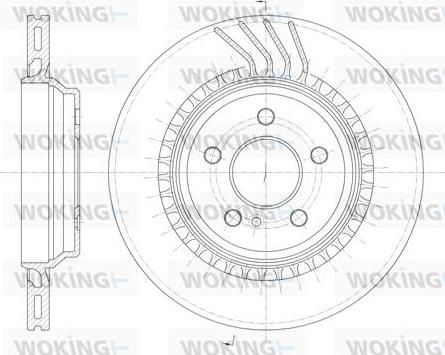 Woking D6963.10 - Гальмівний диск autozip.com.ua