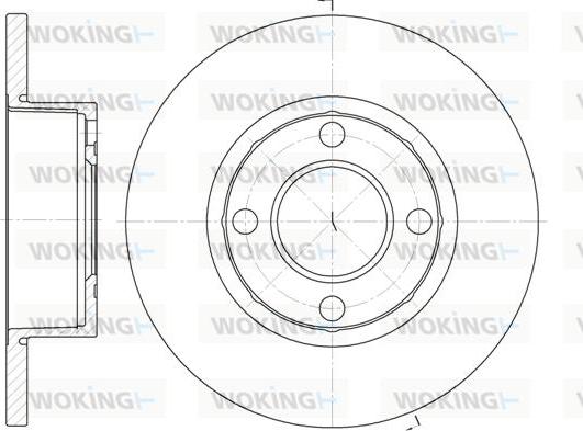 Woking D6173.00 - Гальмівний диск autozip.com.ua