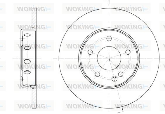 Woking D6310.00 - Гальмівний диск autozip.com.ua