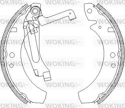 Woking Z4691.00 - Комплект гальм, барабанний механізм autozip.com.ua