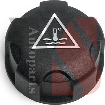 Ysparts YS-YXG113 - Кришка, резервуар охолоджуючої рідини autozip.com.ua